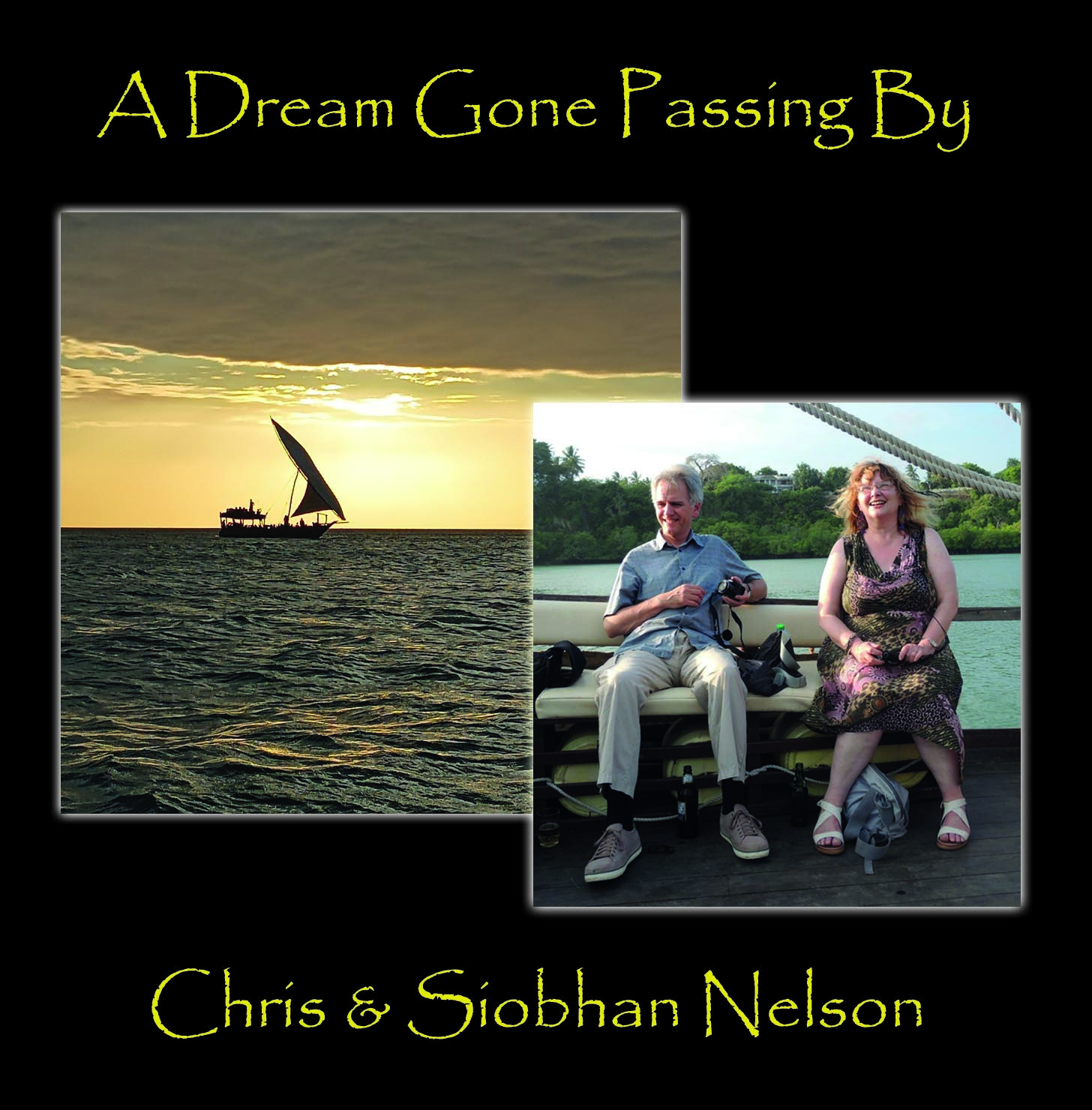 A Dream Gone Passing by cover image